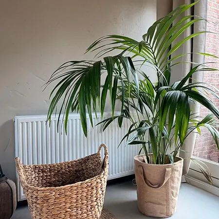 House Bali - Near The Keukenhof And The Сasa de vacaciones *